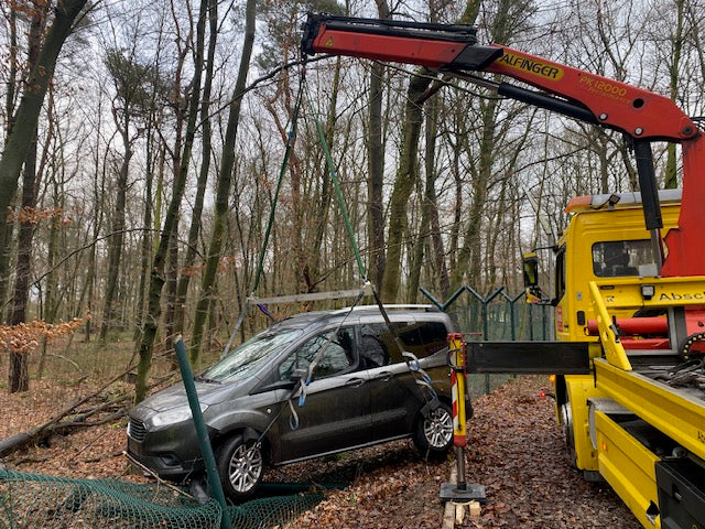 Sonntagsausflug in den Wald