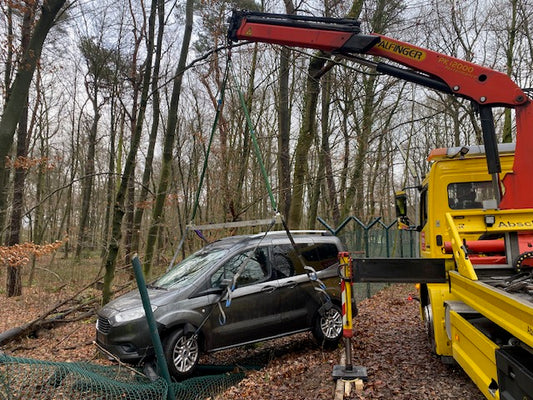 Sonntagsausflug in den Wald